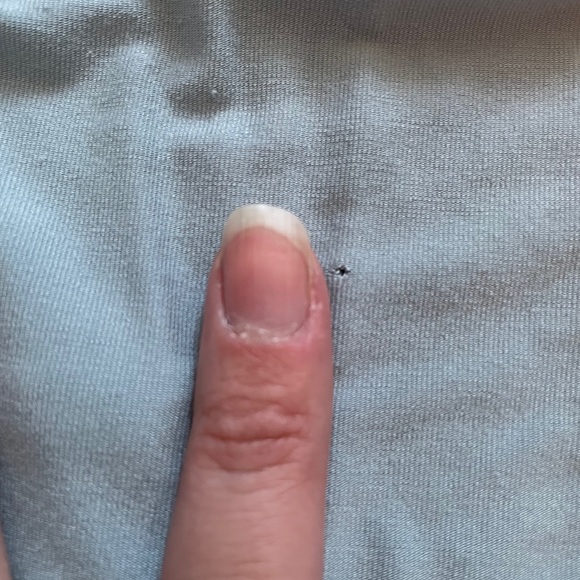 Caden Lane Robe Light Dusty Blue - Picture 7 of 8